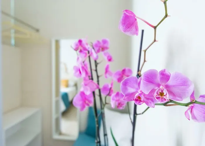 Savioli & Breakfast Bed and breakfast 4*